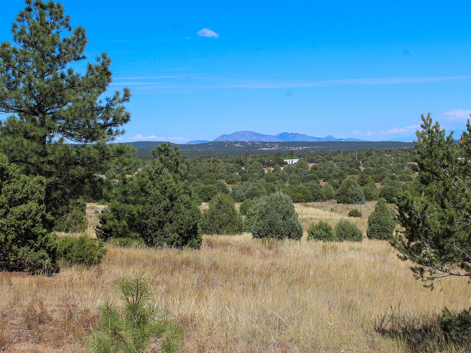 10398 Nm_337, Tijeras, NM 87059 | MLS #1043291 | Zillow