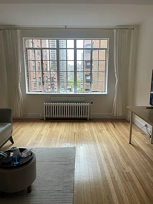324 East 41st Street #803C
