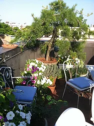 Sold by Dwell Residential Inc