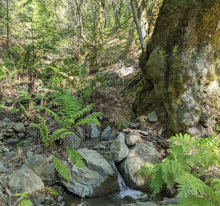 28001 Fish Rock Rd, Yorkville, CA 95494 Zillow