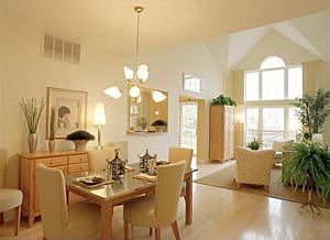 Dining/Living Room