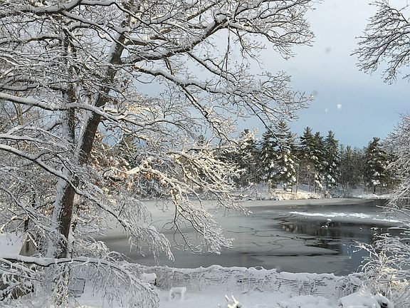 Winter wonderland