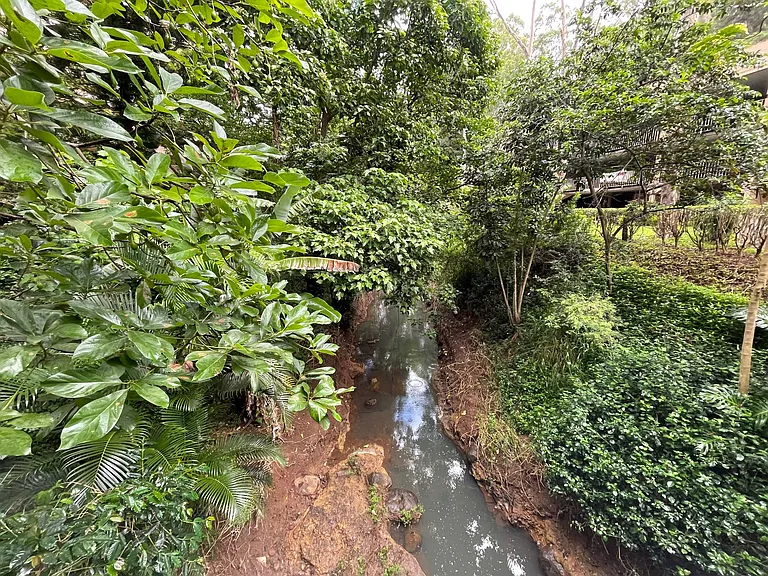 95-269 Waikalani Dr #C906 — Photo 16