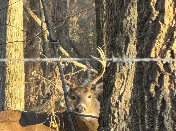 000 E 1320 Road, El Dorado Springs, MO 64744