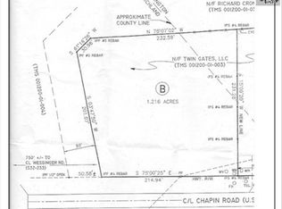 139 Chapin Rd, Chapin, SC 29036