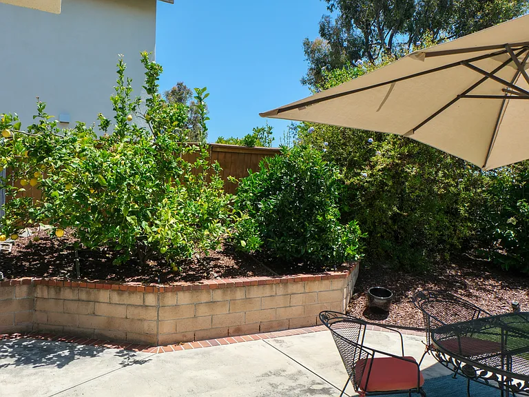 Fruit trees: lemon, orange, apple, and persimmon