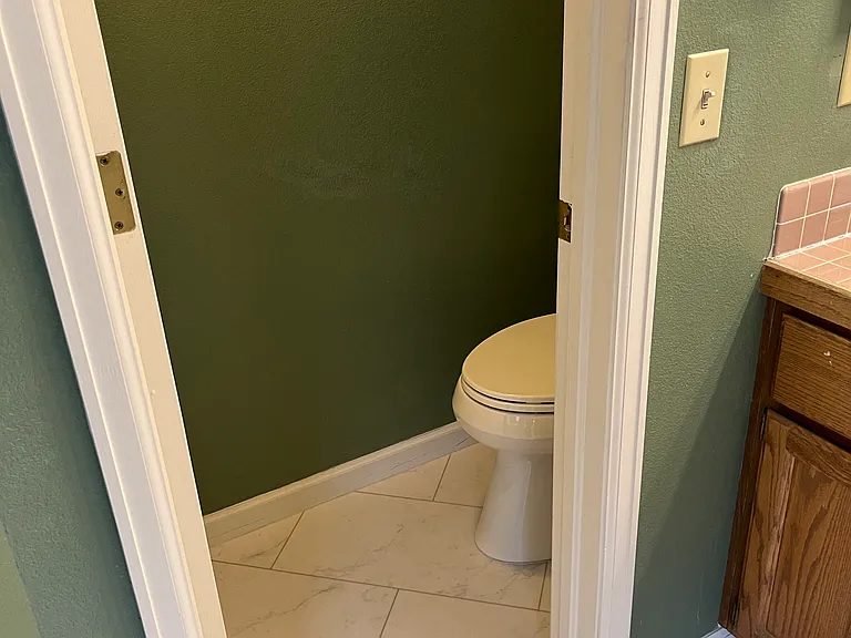 Master bathroom toilet area