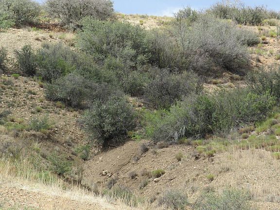 4th image of 11470 E Kachina Pl