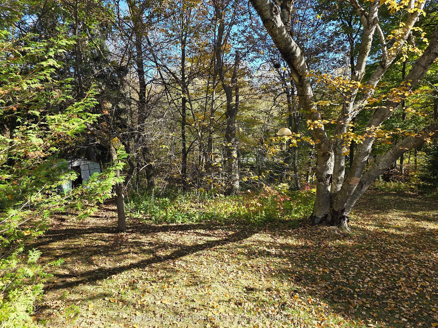 3 bed, $3,195 — Photo 2