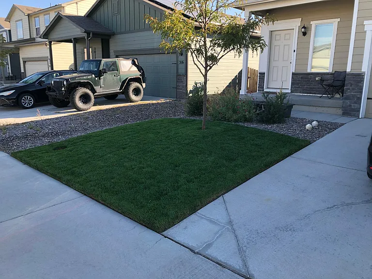 322 Maple St — Photo 5