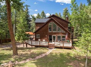 320 E Gunnison Ave, Woodland Park, CO 80863