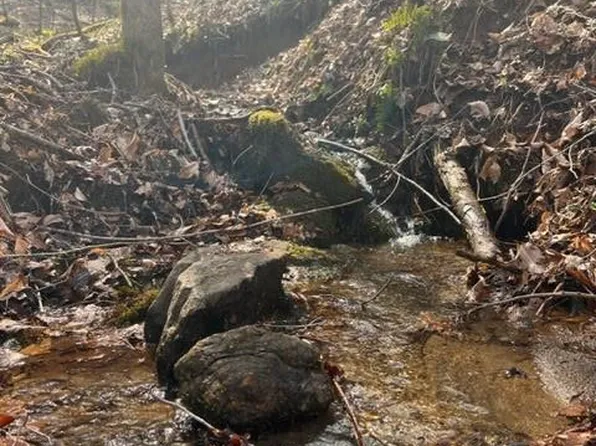 0 River Rd, Franklin, NC 28734