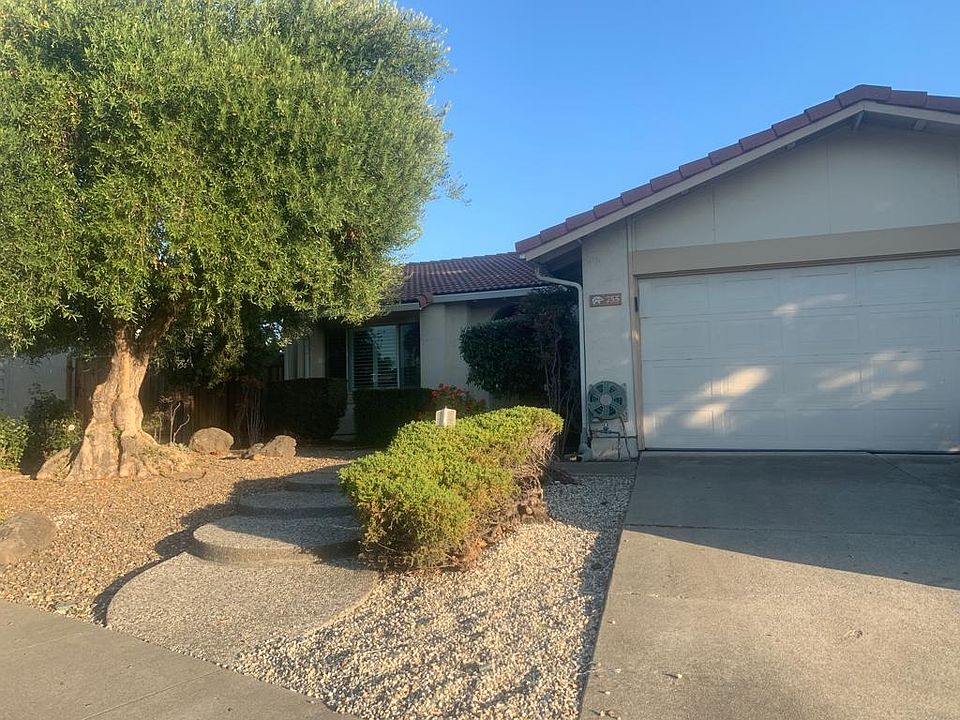 Front view with Olive tree for privacy
