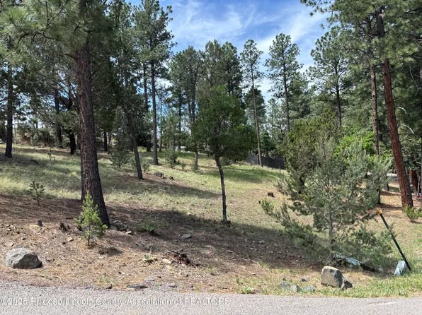 215 Midiron Dr, Alto, NM 88312