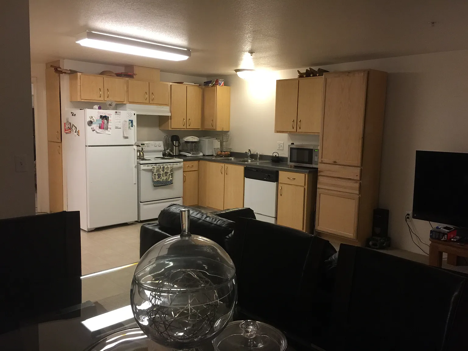 1 bed, 625 sqft, $1,365 — Photo 2