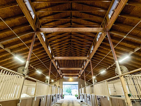 21 Box Stalls each 16' x 16'