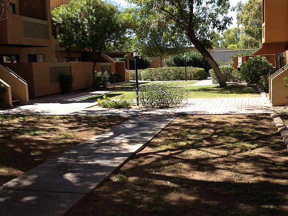 Patio View
