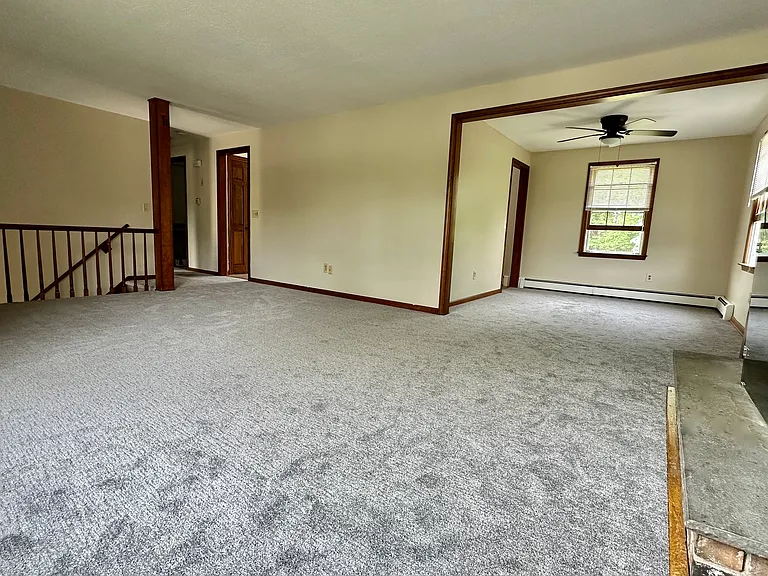 Living room/Dining room - Fireplace