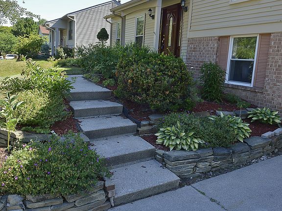 Many perennials thruout yd