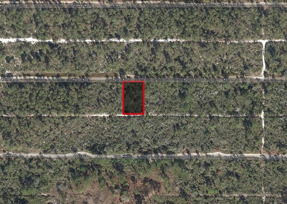 1st image of 533 Parrot Ave