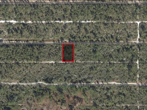 533 Parrot Ave, Sebring, FL 33872