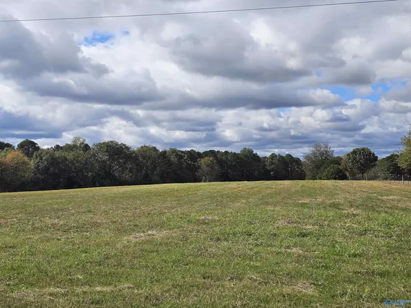 16.99 County Road 1753, Holly Pond, AL 35083