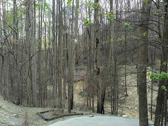 5th image of 373 Wiley Oakley Dr