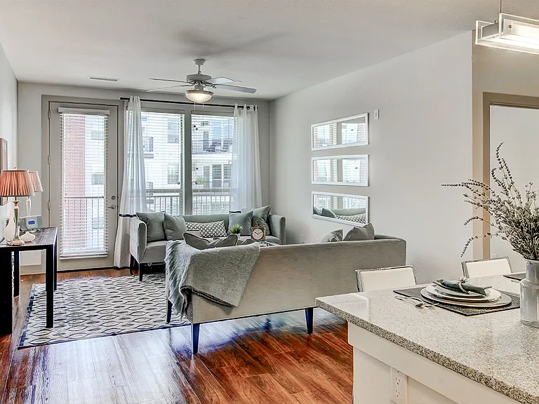 Apartment living room with wood-style flooring.