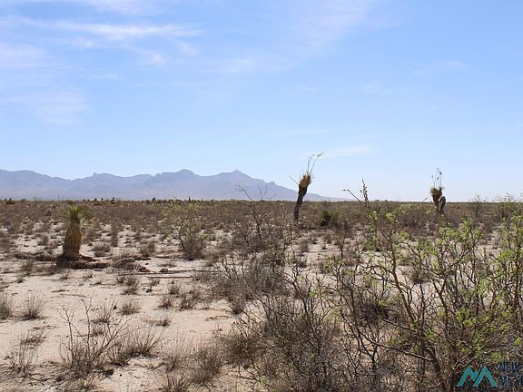 3rd image of Copa De Oro Lot 43