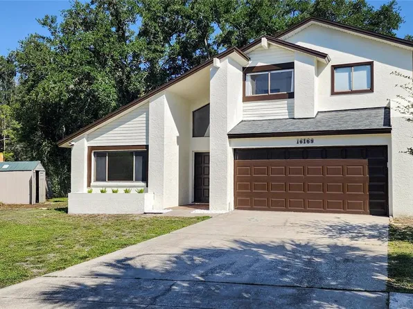 16169 Gardendale Dr, Tampa, FL 33624