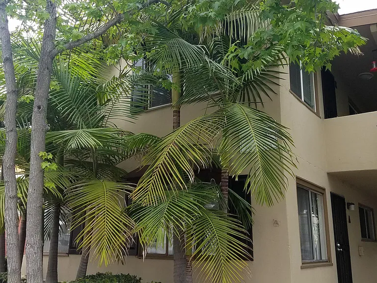 7932 La Mesa Blvd #D — Photo 22
