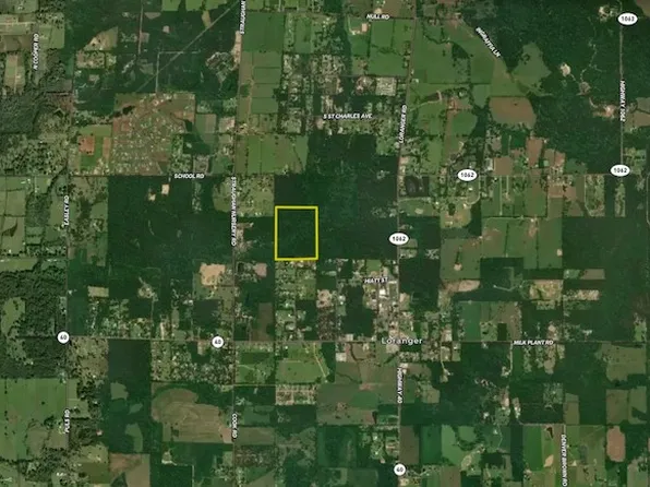 Ellis Blvd Lot Wp001, Loranger, LA 70446