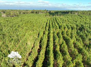 Old Shop Rd, Waycross, GA 31503