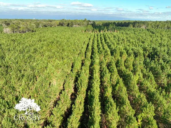 Old Shop Rd, Waycross, GA 31503