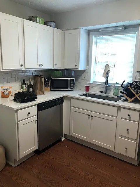 1 bed, $1,000 — Photo 2