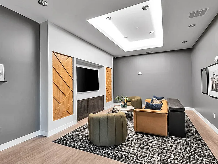 Modern Living Area