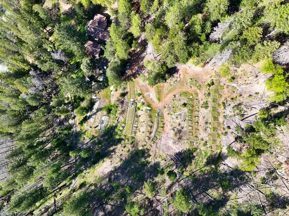 401 Vitzthum Gulch Rd, Douglas City, CA 96024