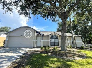 11401 Andy Dr, Riverview, FL 33569