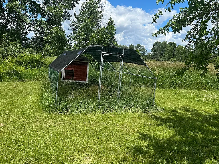 9679 Nicholson Rd — Photo 3
