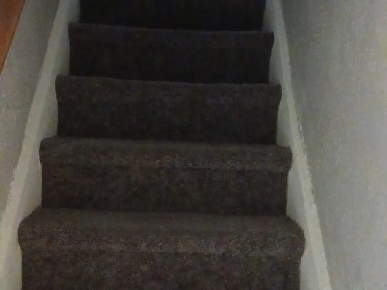 233 Hills Pl — Photo 22