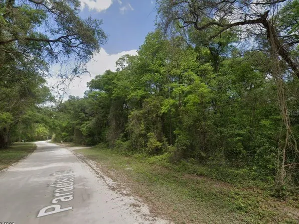 NE 644TH AVE LOT 1, OLD TOWN, FL 32680