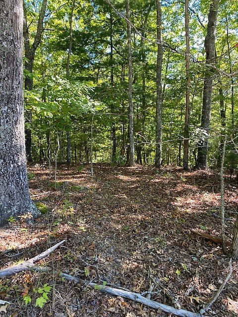 2nd image of 620 Country Mountain Ridge Dr