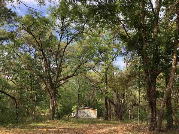 1111 E Buckhorn Trl, Greenville, FL 32331