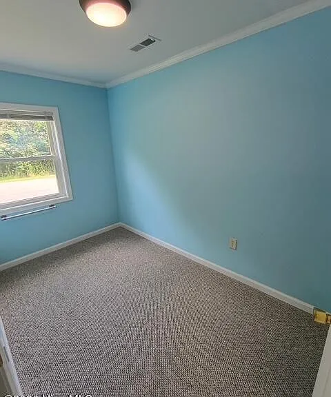 155 Vengeance Creek Rd — Photo 17