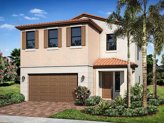 Sand Dollar 4 Mediterranean