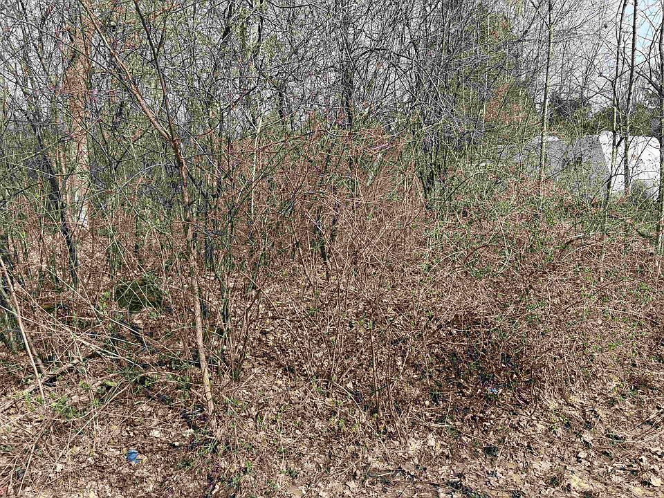 2nd image of 649 County Route 36