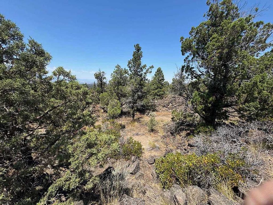 1st image of LOT 33 Thrush Rd