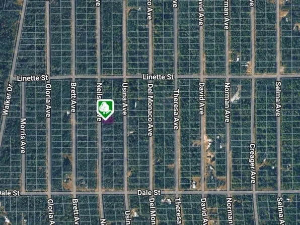 LOT 7 Neilsen Ave Lot 7, Interlachen, FL 32148