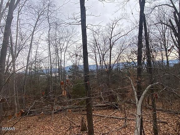 4th image of 5 Armstrong Dr Lot 5