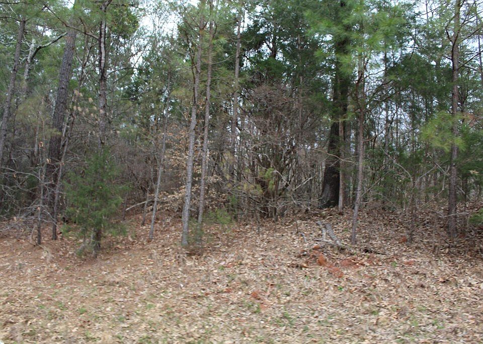 2nd image of 0 Smyrna Rd